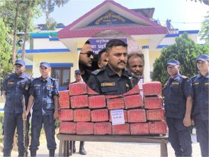 छिपहरमाईबाट ३७० केजी गाँजा बरामद, तस्करको खोजी तीव्र