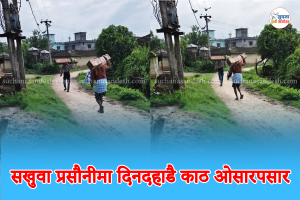 सखुवा प्रसौनीमा दिनदहाडै काठ ओसारपसार, सम्बन्धित निकायको ध्यान कहिले जाने
